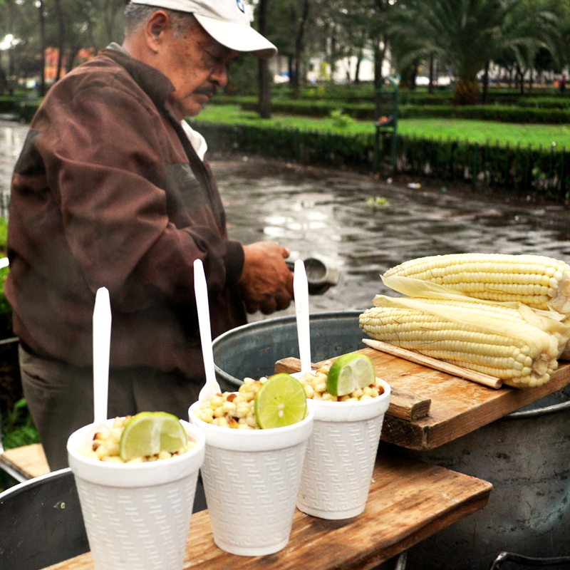 The Good Profit of The ‘Elotero Electrónico’