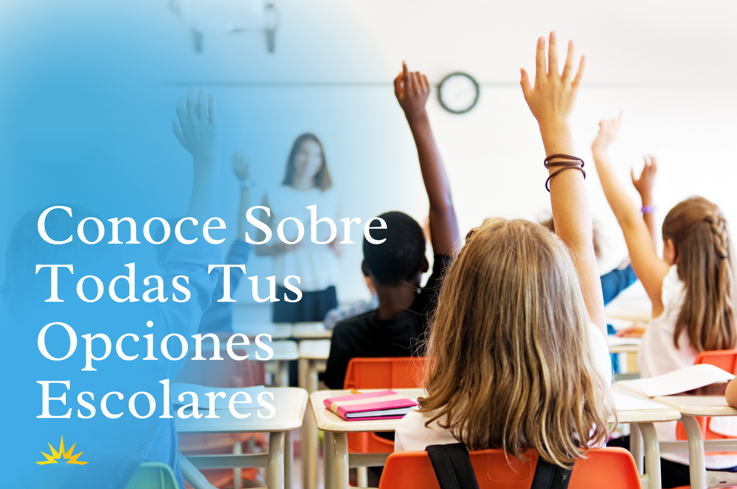 Conoce sobre todas tus opciones escolares